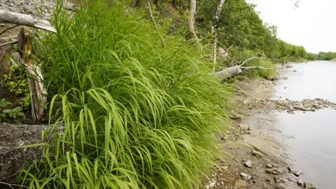 Nature Stock Photos