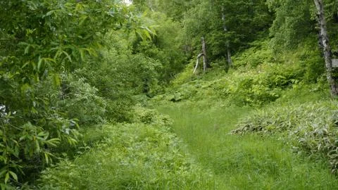 Nature Foto stock