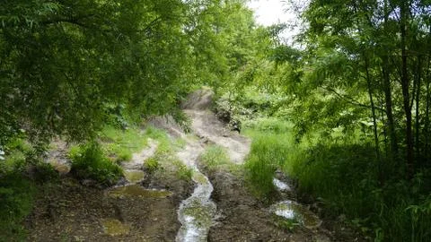 Nature Stock Photos