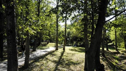Nature Stock Photos
