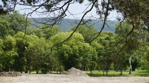Nature Stock Photos