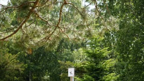 Nature Foto stock