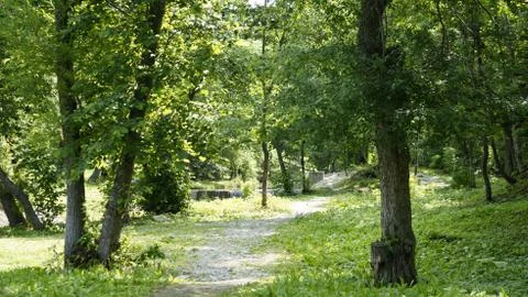 Nature Stock Photos