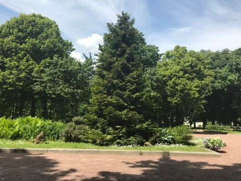 Nature Stock Photos