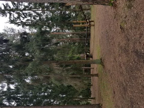 Nature Stock Photos