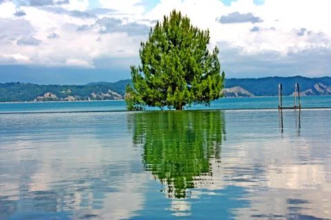Nature Stock Photos
