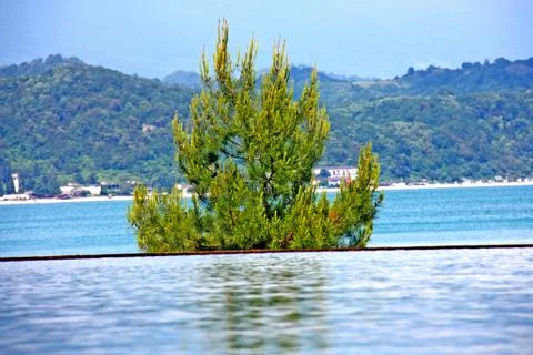 Nature Stock Photos