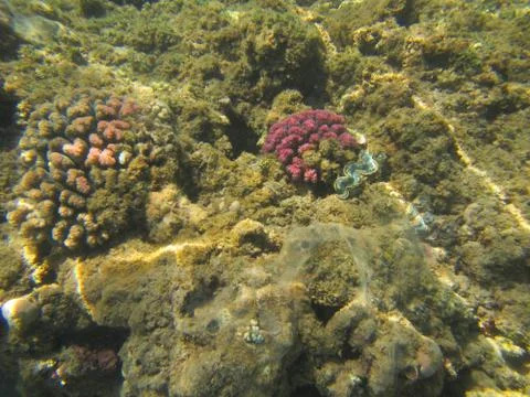 Nature Foto stock