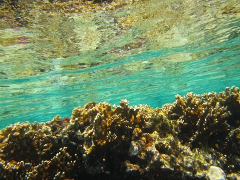 Nature Stock Photos