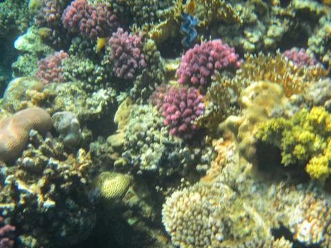 Nature Foto stock