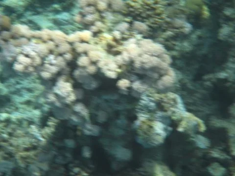 Nature Stock Photos