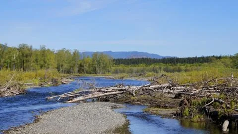 Nature Stock Photos