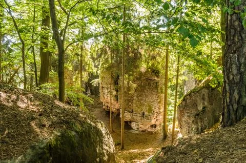 Nature Stock Photos