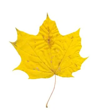 Nature Stock Photos