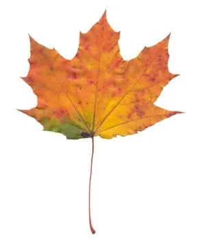 Nature Stock Photos