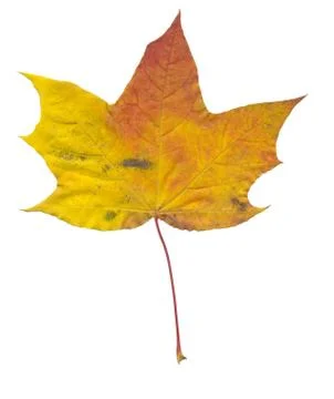 Nature Stock Photos