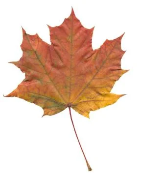 Nature Stock Photos