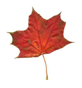 Nature Stock Photos
