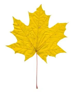 Nature Stock Photos