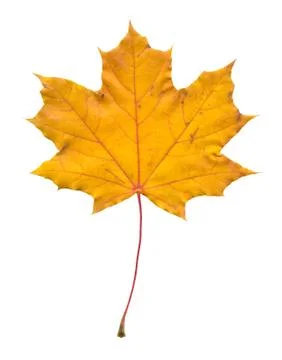 Nature Stock Photos