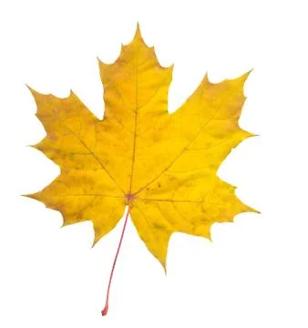 Nature Stock Photos
