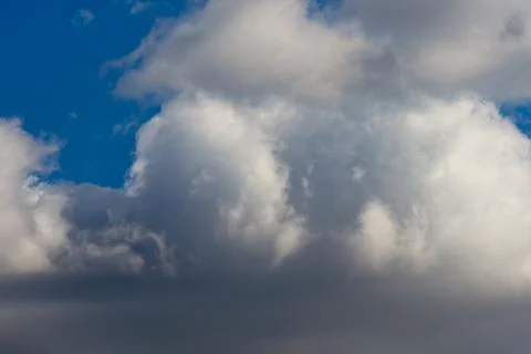 Nature Stock Photos