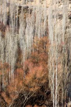 Nature Stock Photos