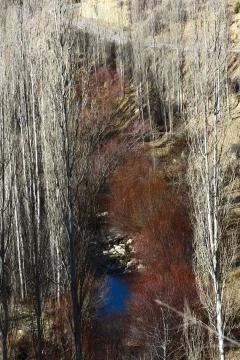 Nature Stock Photos