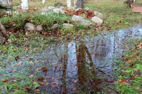 NATURE Stock Photos