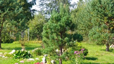 NATURE Stock Photos