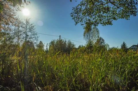 Nature Foto stock