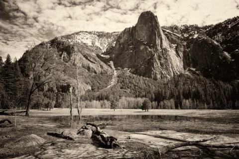 Nature. Stock Photos