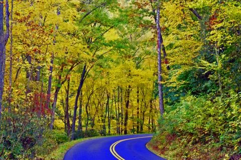 NATURE Stock Photos