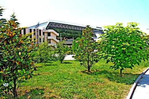 Nature Stock Photos