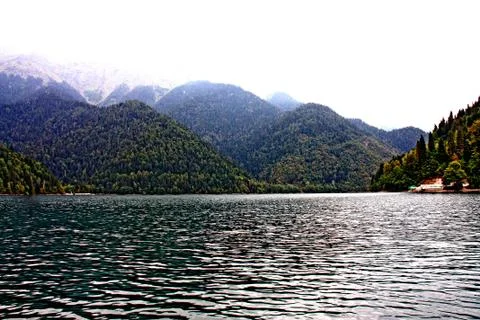 Nature Stock Photos