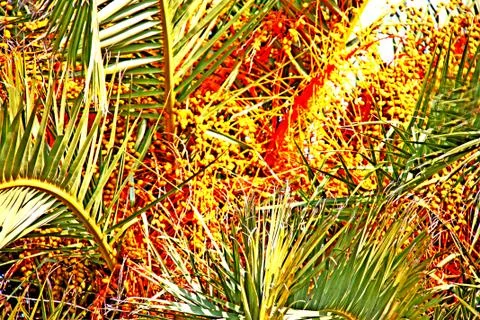 Nature Stock Photos