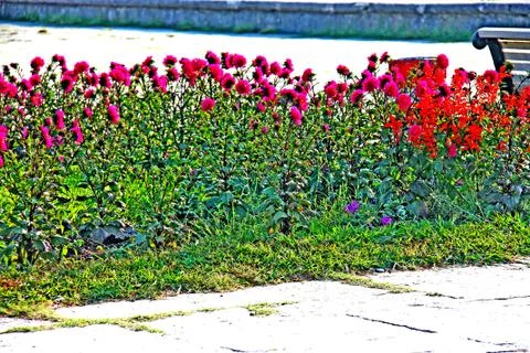 Nature Foto stock