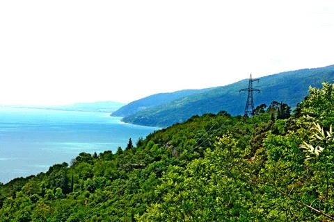 Nature Stock Photos