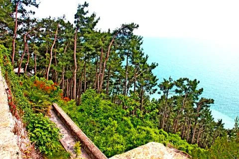 Nature Stock Photos