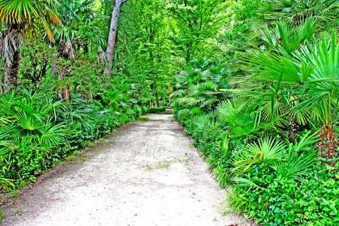 Nature Stock Photos