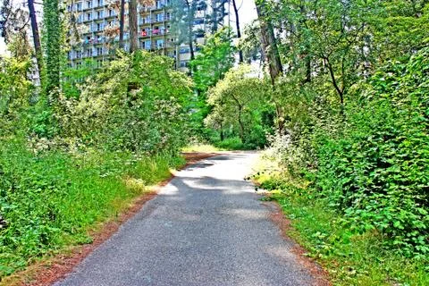 Nature Stock Photos