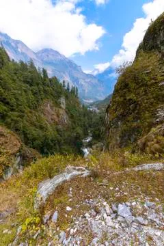 The Nature Stock-Fotos