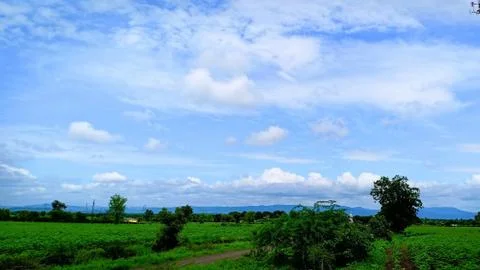 Nature Stock Photos