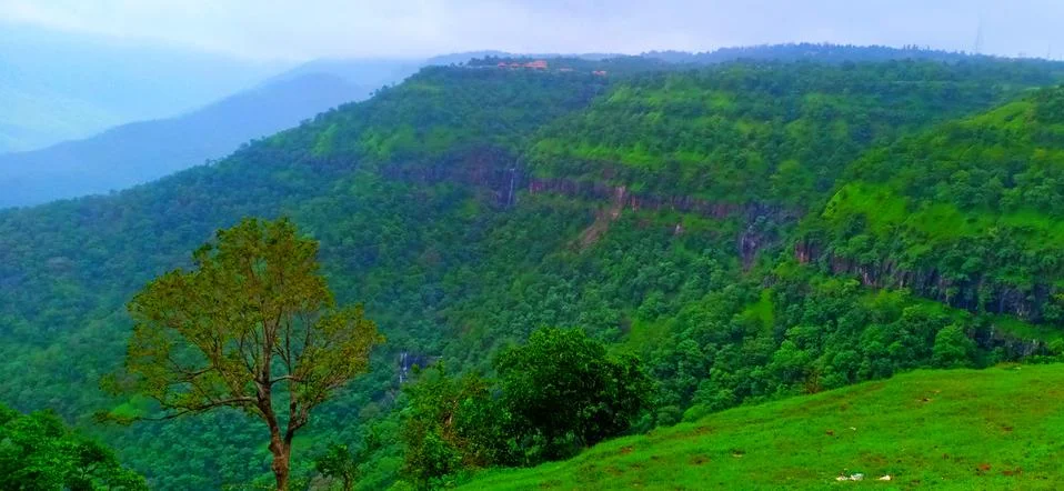 Nature Stock Photos