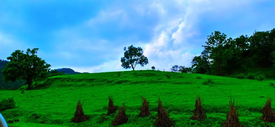 Nature Stock Photos