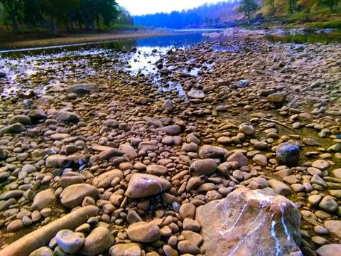 Nature Stock Photos