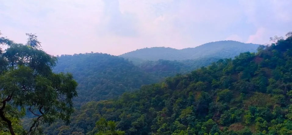 Nature Stock Photos