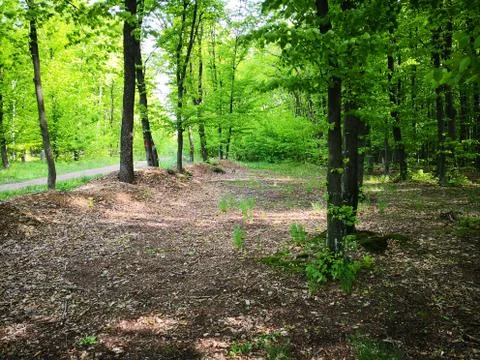 Nature Stock Photos
