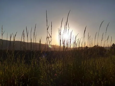 Nature Stock Photos