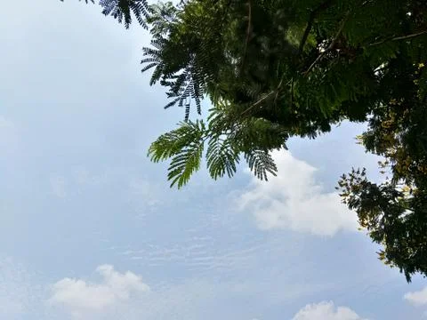 Nature Stock Photos